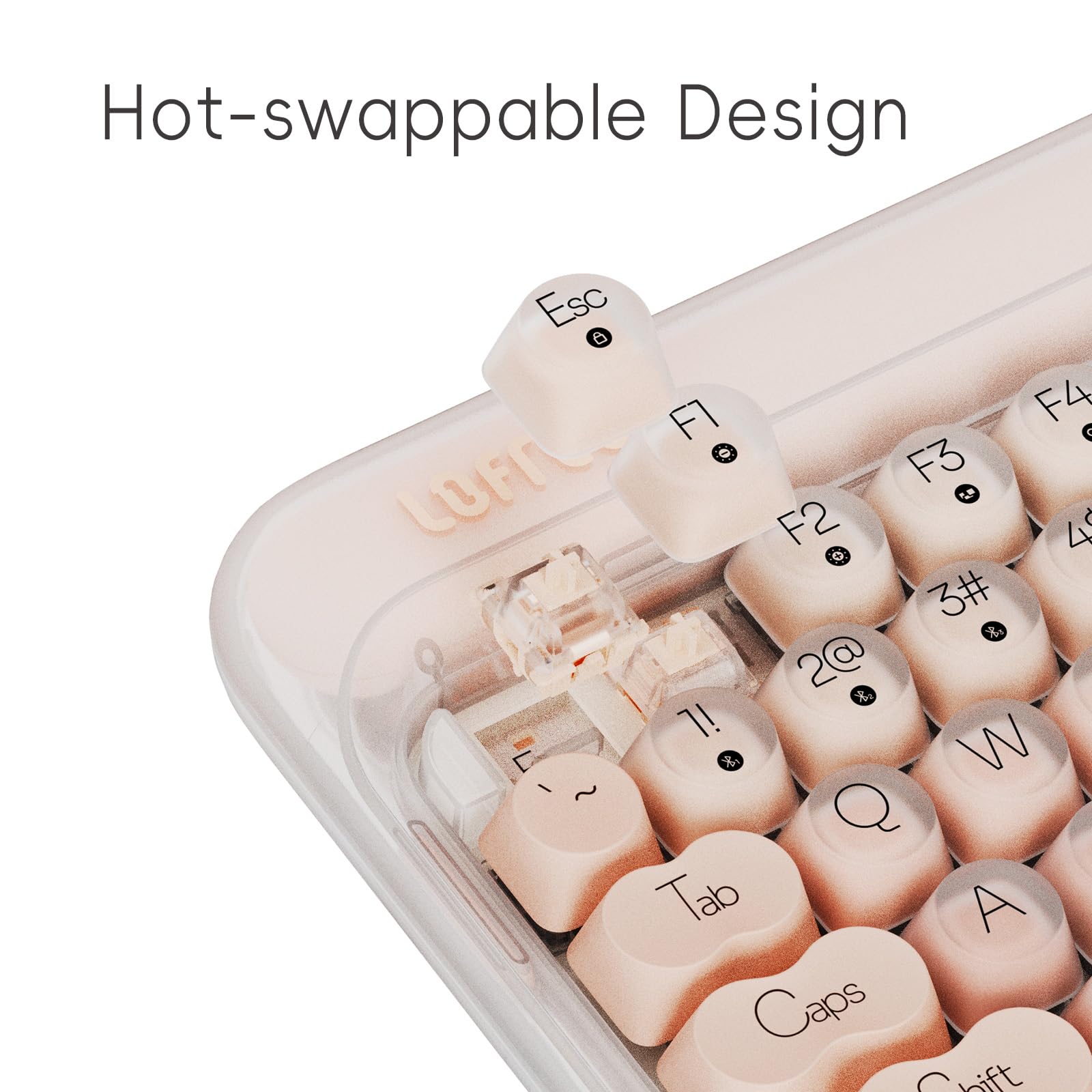 Amazon.co.jp: LOFREE: Foundation シリーズ